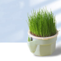 HKM-889747 Cat Grass Cup Soilless Hydroponic Seed Spit Hair Ball Snacks