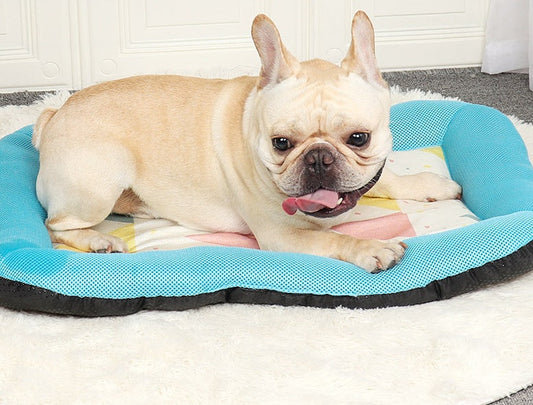 HKM-8900669 Cooling Pet Ice Mat in Blue, Yellow, Pink, Green - Sizes S, M, L Available