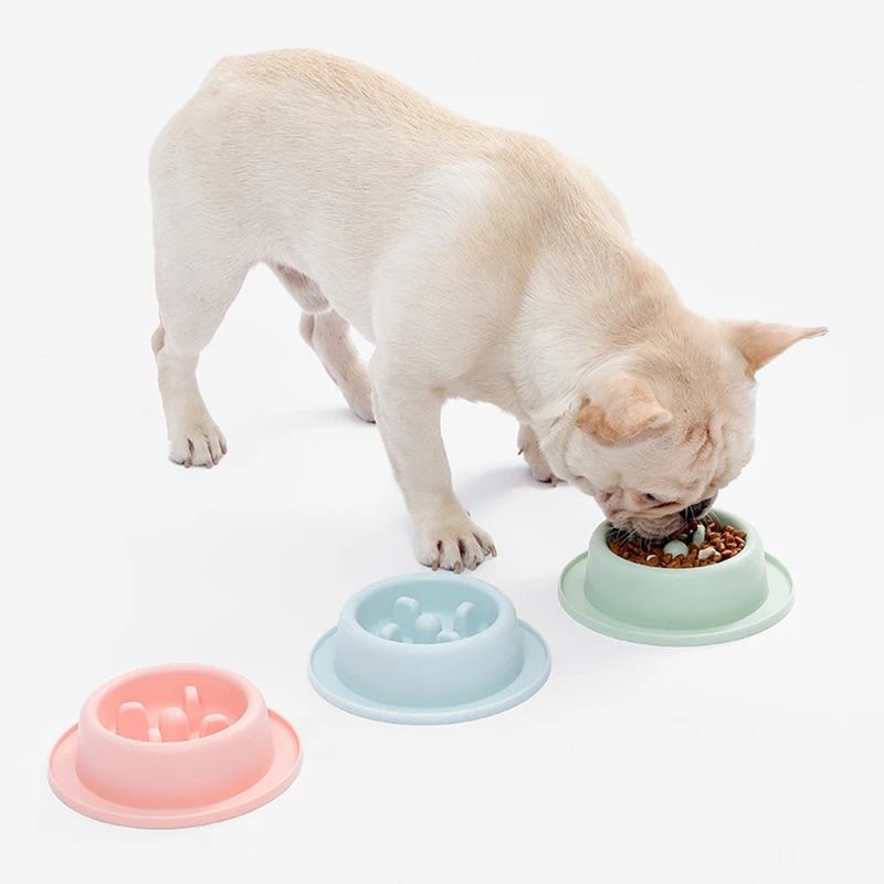 HKM-8902589 Slow Feed Dog Bowl for Cats and Dogs - Anti-Choking Interactive Feeding Dish in Macaroon Colors