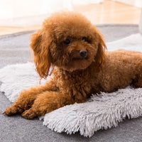 HKM-8906429 Soft Plush Pet Nest Bed ¨C Anti-Slip, Waterproof, Multiple Sizes Available