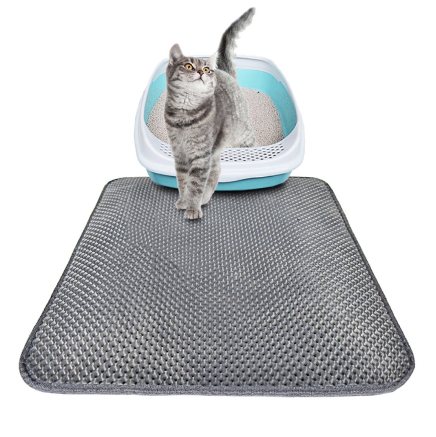 HKM-8910013 Double Layer Cat Litter Mat with Waterproof Layer for Easy Cleaning and Claw Trapping