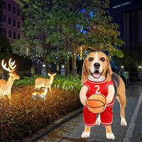 HKM-8912317 Dog Basketball Player Costume for Small to Medium Dogs ¨C Funny Sports Outfit for Halloween and Parties