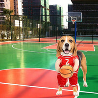 HKM-8912317 Dog Basketball Player Costume for Small to Medium Dogs ¨C Funny Sports Outfit for Halloween and Parties