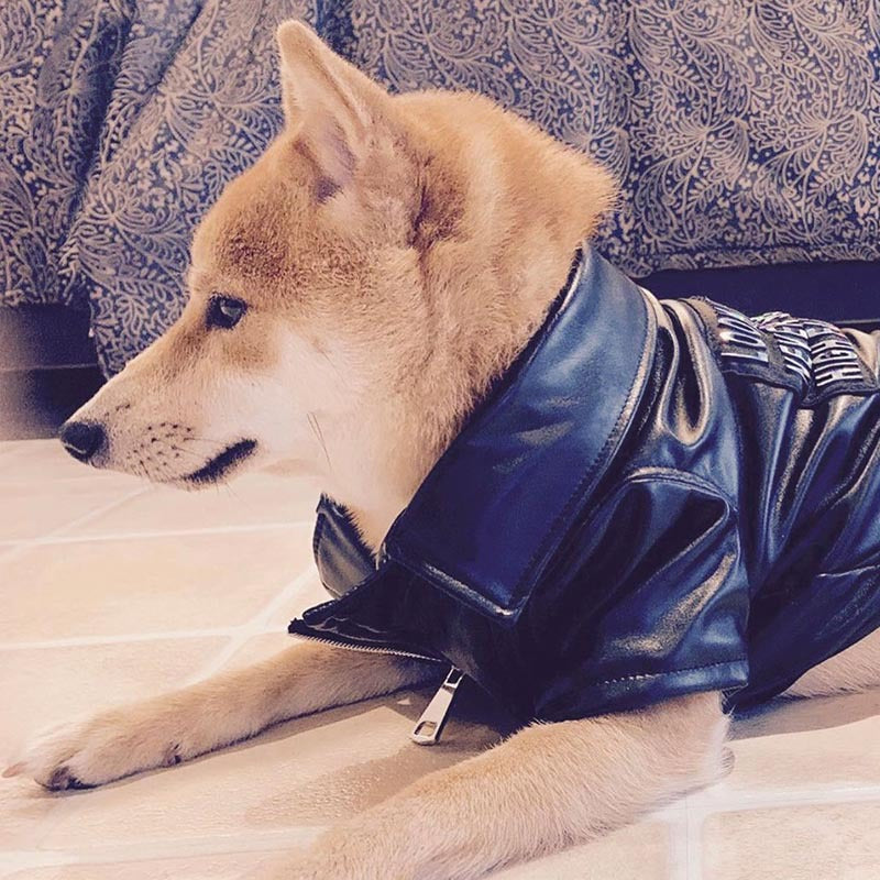 HKM-8914493 Stylish PU Leather Jacket for Male Shiba Inu - European and American Design