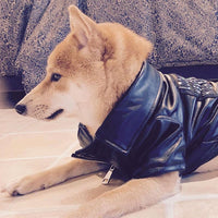 HKM-8914493 Stylish PU Leather Jacket for Male Shiba Inu - European and American Design