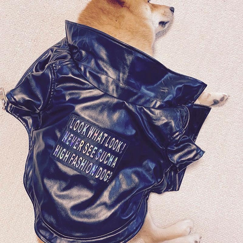 HKM-8914493 Stylish PU Leather Jacket for Male Shiba Inu - European and American Design