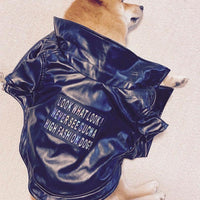 HKM-8914493 Stylish PU Leather Jacket for Male Shiba Inu - European and American Design