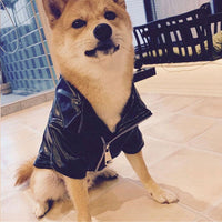 HKM-8914493 Stylish PU Leather Jacket for Male Shiba Inu - European and American Design