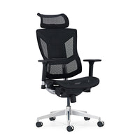 HKM-891731 Ergonomic Mesh Office Chair with Swivel Function and Modern Design
