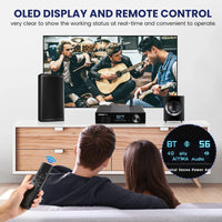 HKM-891795 150W Dual-Channel Bluetooth HiFi Amplifier with USB DAC and OLED Display for 2.1 Home Theatre System