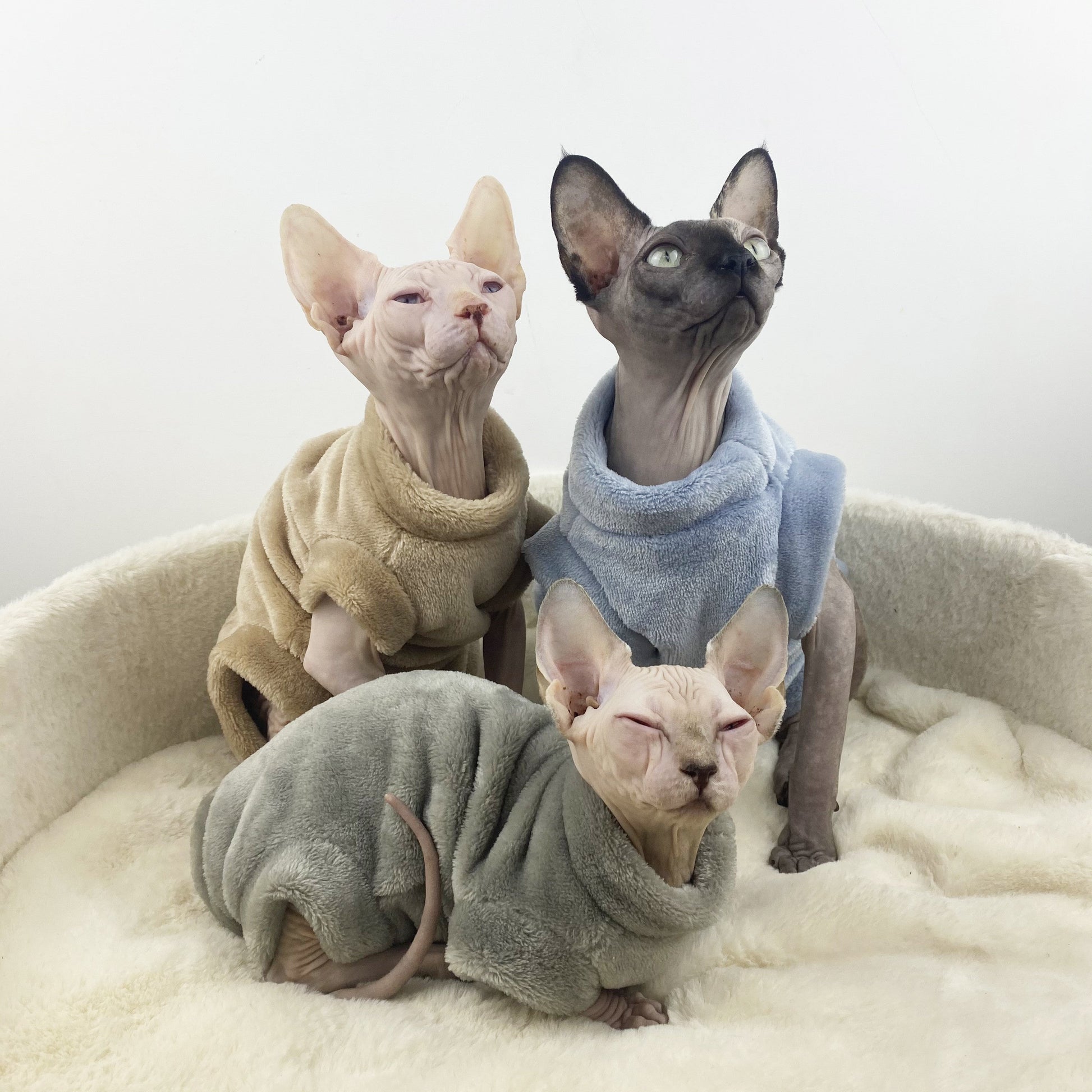 HKM-8918973 Flannel Thermal Jacket for Hairless Cats - Gray Blue Coffee Color, Size L to XXL