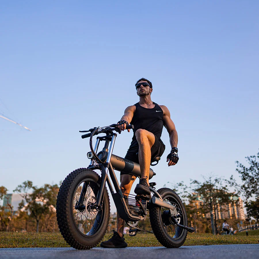 HKM-891987 Electric Fat Tire Bike 48V 500W Rear Hub Motor 20Ah Battery 7-Speed Aluminum Alloy Frame 30-45km/h
