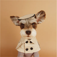HKM-8920253 Beige Monochrome Cloth Dog Collar in Khaki ¨C Classic British Style for All Breeds