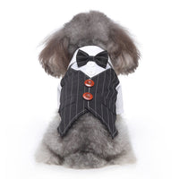 HKM-8922045 Stylish Polyester Dog Suit in Various Sizes - Perfect Fit for Your Pet