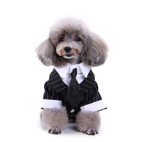 HKM-8922045 Stylish Polyester Dog Suit in Various Sizes - Perfect Fit for Your Pet