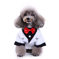 HKM-8922045 Stylish Polyester Dog Suit in Various Sizes - Perfect Fit for Your Pet