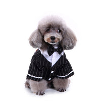 HKM-8922045 Stylish Polyester Dog Suit in Various Sizes - Perfect Fit for Your Pet