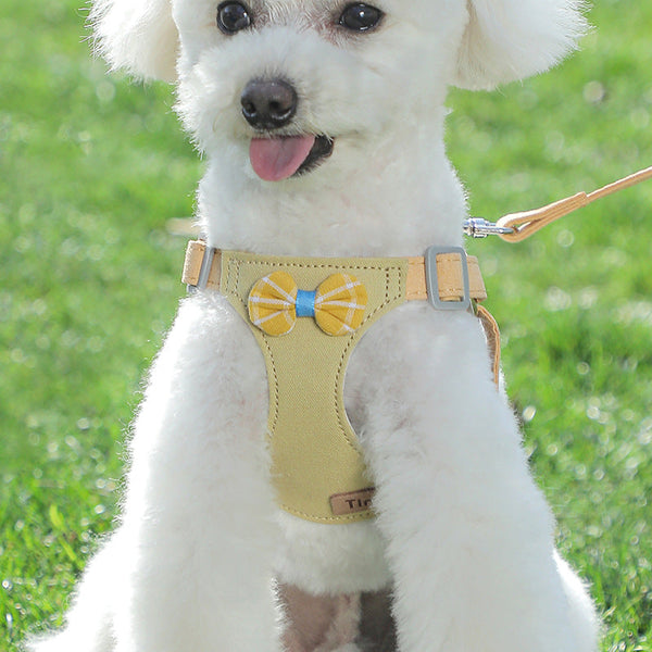 HKM-8922941 Small Dog Cloth Chest Harness with Leash for Comfortable Control