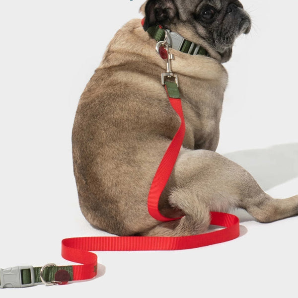 HKM-8931389 Comfortable Polyester Dog Collar and Leash Set in Multiple Sizes and Colors