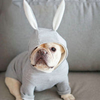 HKM-8933181 Knitted Sweater with Rabbit Ears for Small Dogs - Wool Material