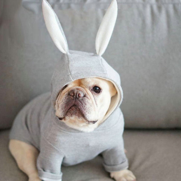 HKM-8933181 Knitted Sweater with Rabbit Ears for Small Dogs - Wool Material