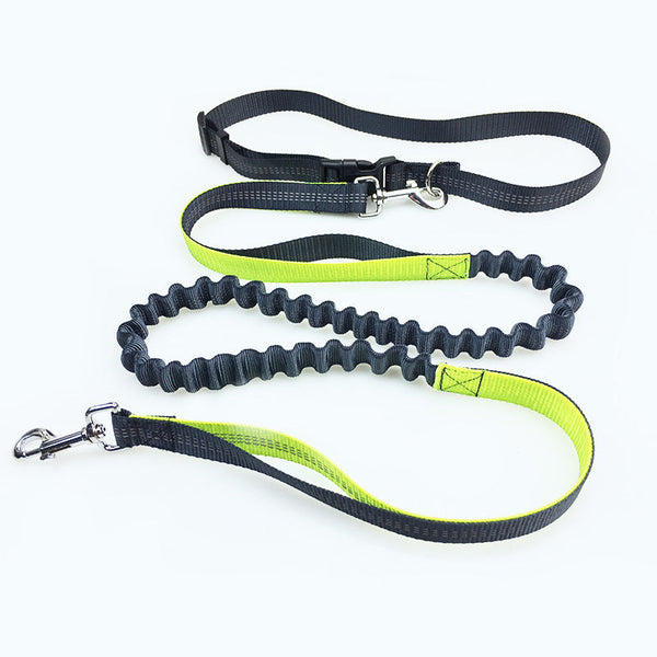 HKM-893587 Durable Polyester Dog Leash with Adjustable Traction Belt for Running