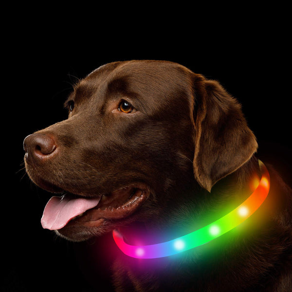 HKM-8937149 Luminous Silicone Pet Collar in Multiple Colors and Sizes