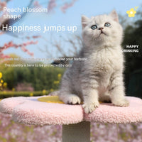 HKM-8941117 Peach Blossom Cat Climbing Frame with Integrated Nest and Sisal Scratch Board