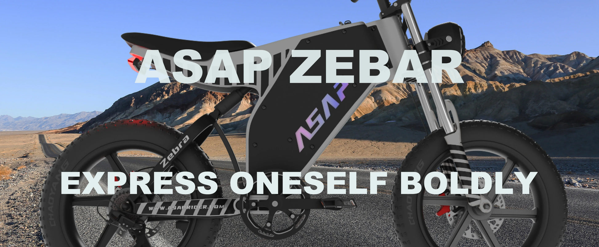 HKM-894291 20 Inch Full Suspension Electric Off-Road Fat Tire Bike with 1000W Motor and 48V Battery