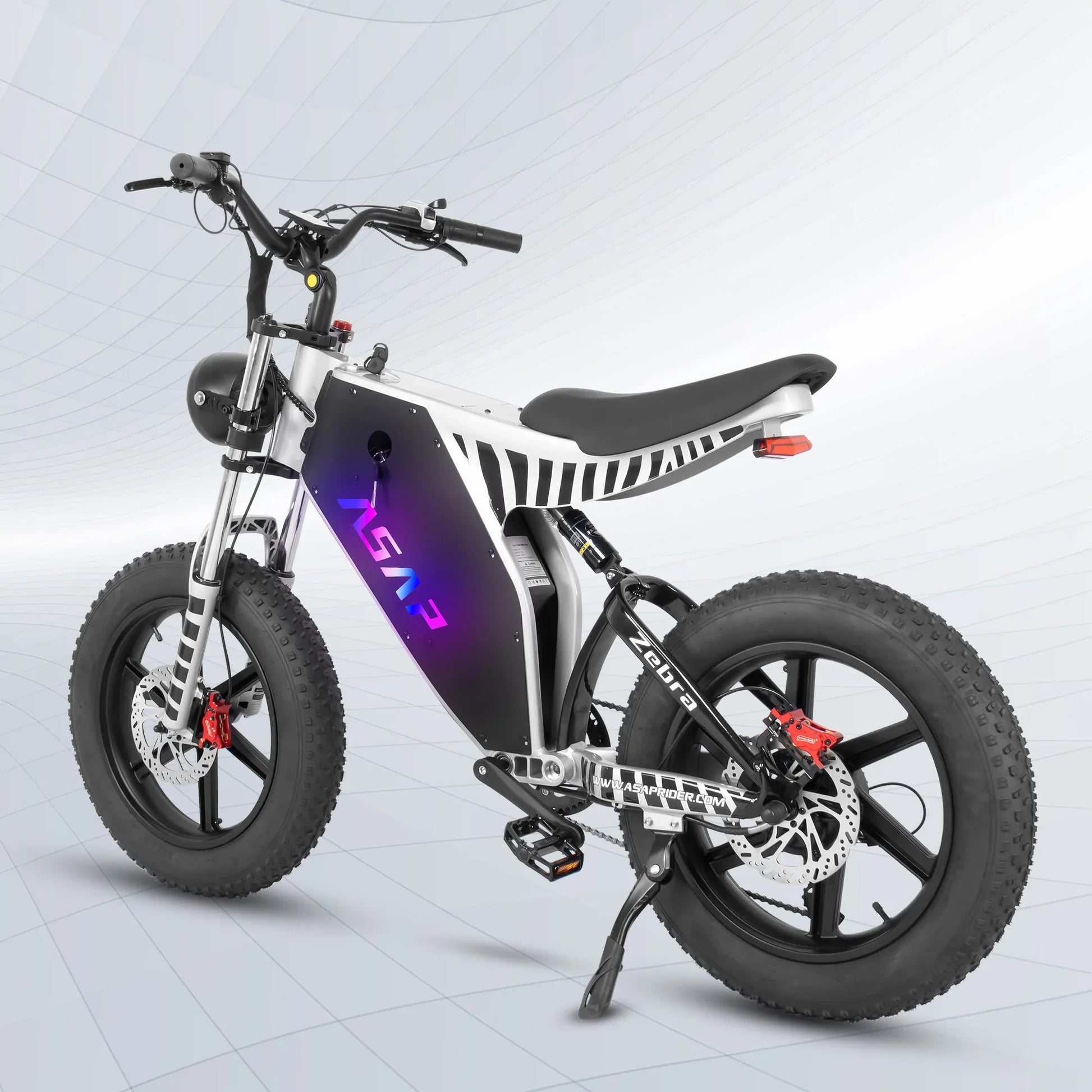 HKM-894291 20 Inch Full Suspension Electric Off-Road Fat Tire Bike with 1000W Motor and 48V Battery