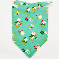 HKM-8954045 Fruit Green Leaf Cotton Pet Scarf and Drool Towel for Small to Large Dogs and Cats