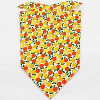 HKM-8954045 Fruit Green Leaf Cotton Pet Scarf and Drool Towel for Small to Large Dogs and Cats