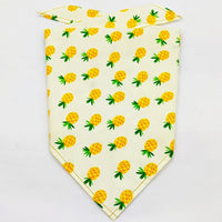 HKM-8954045 Fruit Green Leaf Cotton Pet Scarf and Drool Towel for Small to Large Dogs and Cats