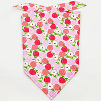 HKM-8954045 Fruit Green Leaf Cotton Pet Scarf and Drool Towel for Small to Large Dogs and Cats