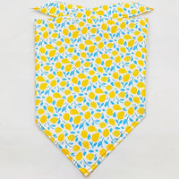 HKM-8954045 Fruit Green Leaf Cotton Pet Scarf and Drool Towel for Small to Large Dogs and Cats