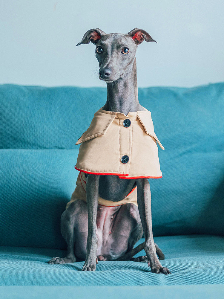 HKM-8954813 Cotton British Style Pet Overcoat for Dogs in Multiple Sizes