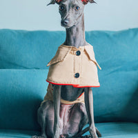 HKM-8954813 Cotton British Style Pet Overcoat for Dogs in Multiple Sizes