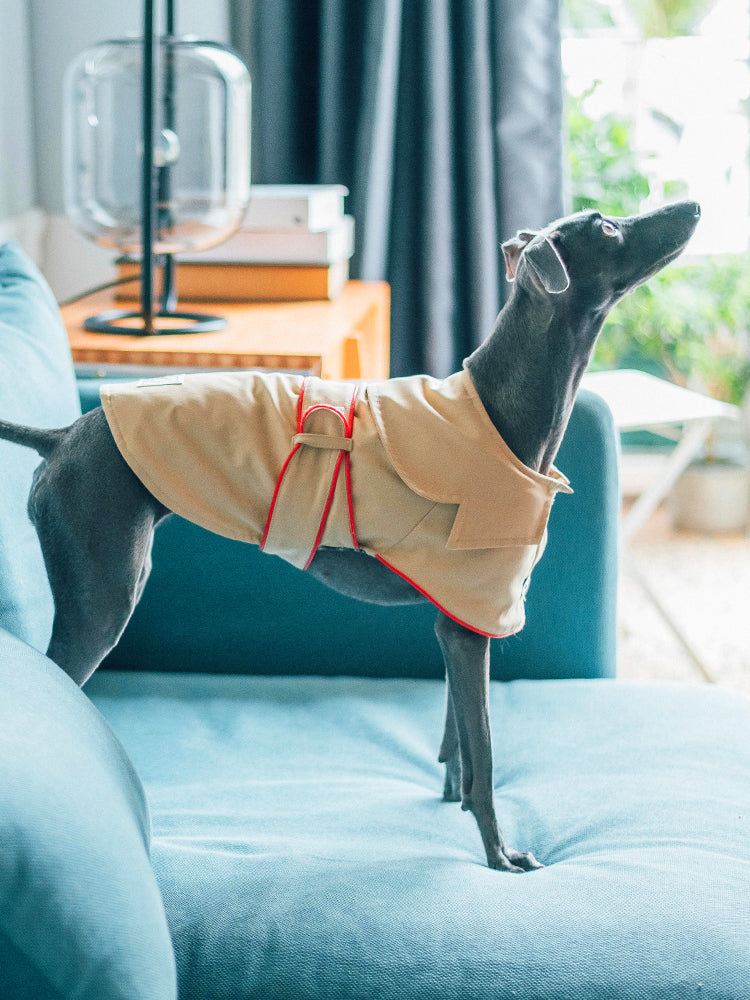 HKM-8954813 Cotton British Style Pet Overcoat for Dogs in Multiple Sizes