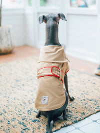 HKM-8954813 Cotton British Style Pet Overcoat for Dogs in Multiple Sizes