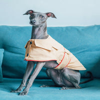 HKM-8954813 Cotton British Style Pet Overcoat for Dogs in Multiple Sizes