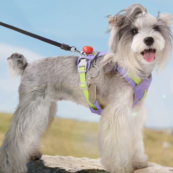 HKM-8955709 Multi-functional Waterproof Quick-Drying Dog Harness in Vibrant Colors