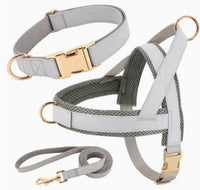 HKM-8958269 Personalized Nylon Dog Harness and Leash Set with Bow Tie - Available in Multiple Sizes
