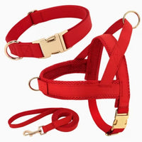 HKM-8958269 Personalized Nylon Dog Harness and Leash Set with Bow Tie - Available in Multiple Sizes