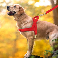 HKM-8958269 Personalized Nylon Dog Harness and Leash Set with Bow Tie - Available in Multiple Sizes