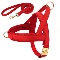 HKM-8958269 Personalized Nylon Dog Harness and Leash Set with Bow Tie - Available in Multiple Sizes
