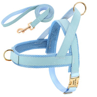 HKM-8958269 Personalized Nylon Dog Harness and Leash Set with Bow Tie - Available in Multiple Sizes