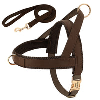 HKM-8958269 Personalized Nylon Dog Harness and Leash Set with Bow Tie - Available in Multiple Sizes