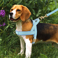 HKM-8958269 Personalized Nylon Dog Harness and Leash Set with Bow Tie - Available in Multiple Sizes