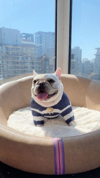 HKM-8960189 Soft Striped Casual Sweater for Pets - Multiple Sizes Available