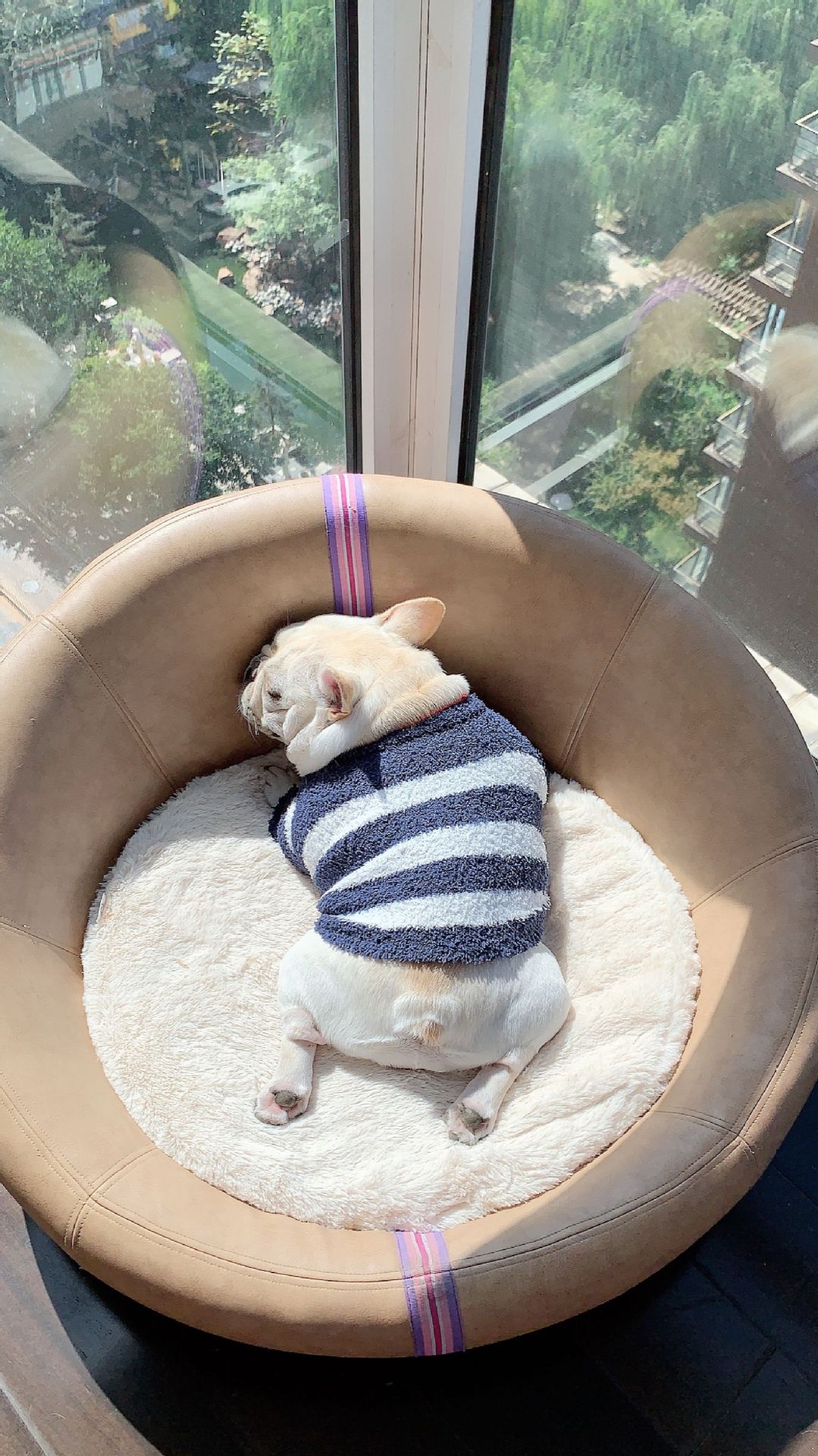 HKM-8960189 Soft Striped Casual Sweater for Pets - Multiple Sizes Available